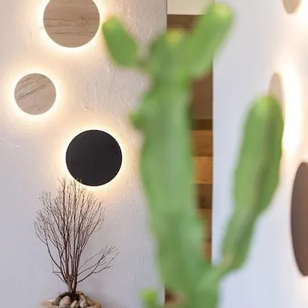 Cactopia - Stapelia Rethymno